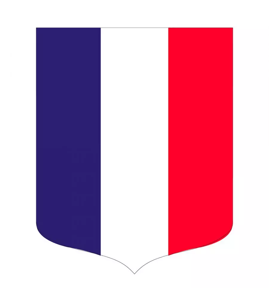 Ecusson Tricolore RF - image 2