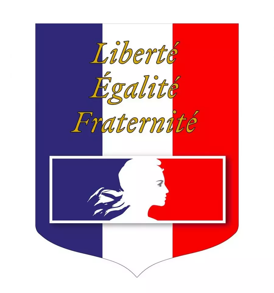 Ecusson Tricolore RF - image 3